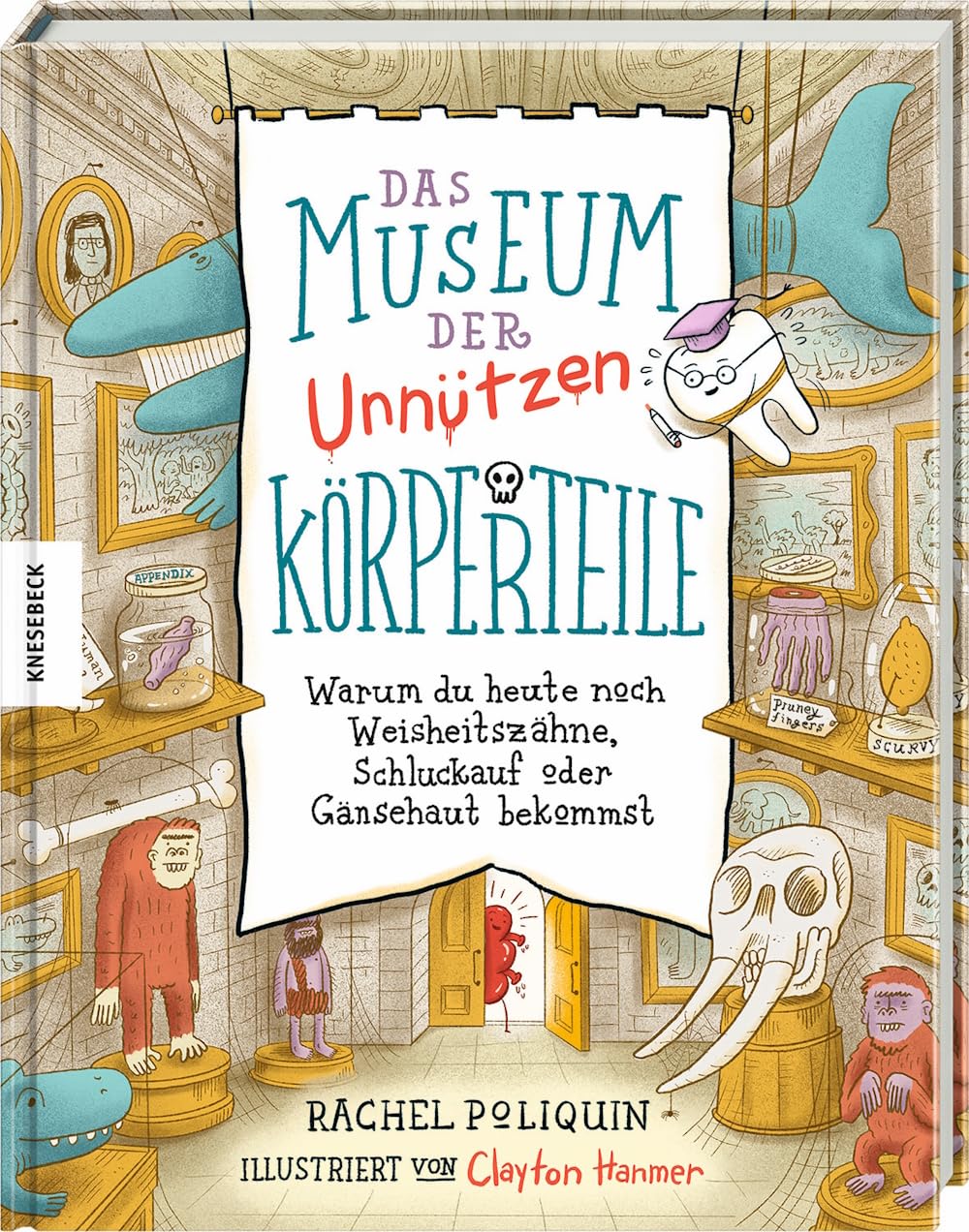2025 02 krperteile