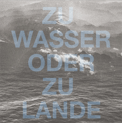 Ironischer Dickicht